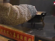 SAT0072香车美人轻松GOEP1