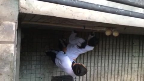 偷拍学生情侣